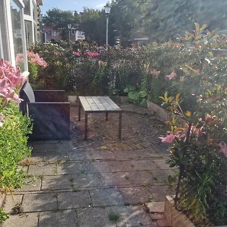 Guesthouse Zandvoort Penzion Zandvoort