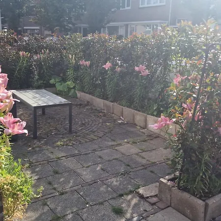 Guesthouse Zandvoort Pensión 4*