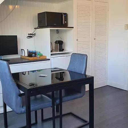 بيت ضيافة Guesthouse Zandvoort 4*