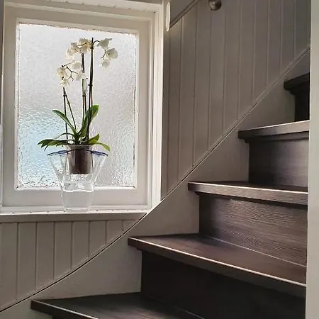 Guesthouse Zandvoort بيت ضيافة زاندفورت